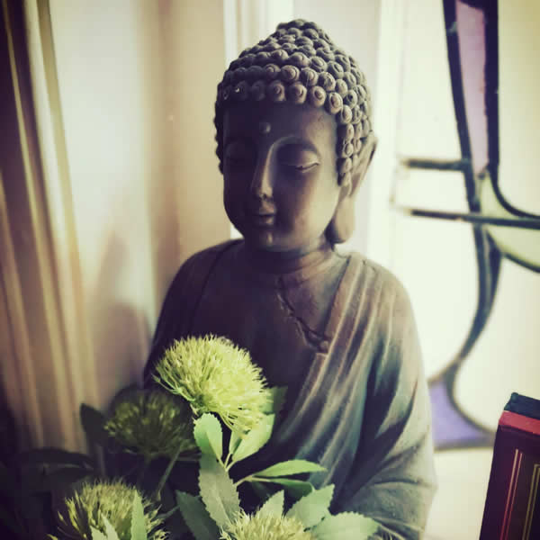 pic of buddha with plant in front of stained glass window