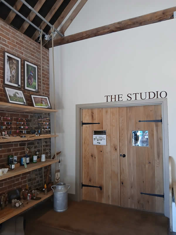 The Studio